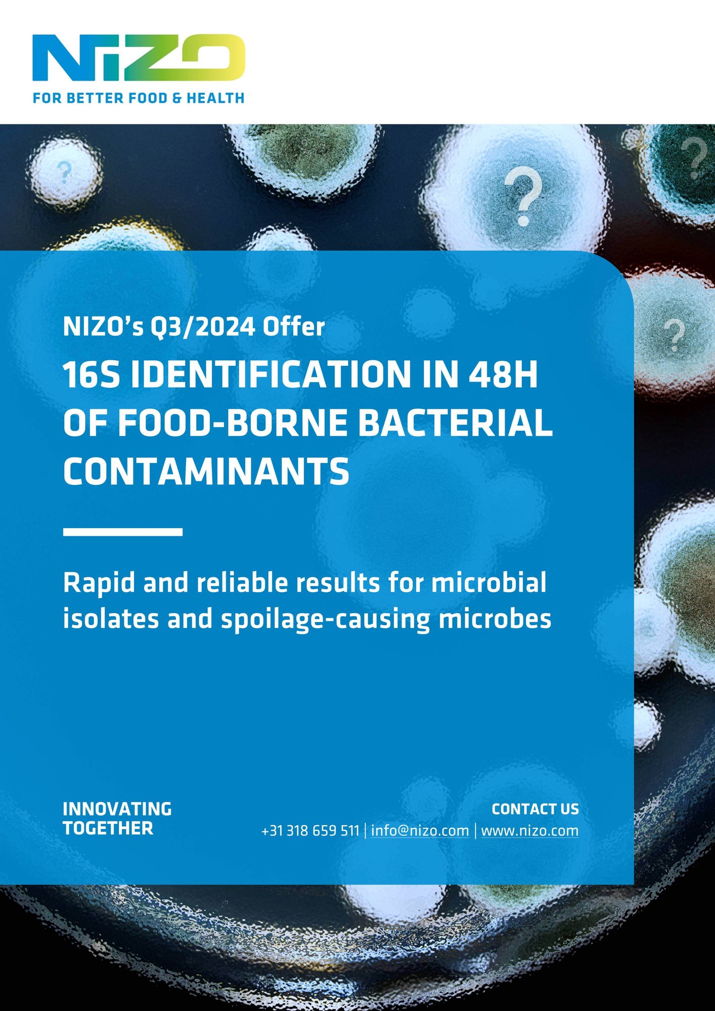 NIZO’s Q3-2024 offer: 16s identification in 48h of food-borne bacterial contaminants – Rapid and reliable results for microbial isolates and spoilage-causing microbes