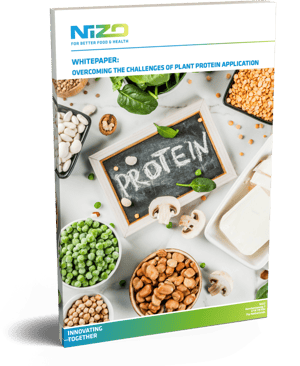 OVERCOMING THE CHALLENGES OF PLANT PROTEIN APPLICATION